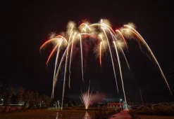 Cotton Tree Drive 25-Schuss-Feuerwerk-Batterie