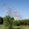 Deutschlandregen 50cm Papierflitter 10er Bundle