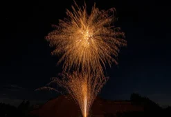 Dragon Dust Willows 16-Schuss-Feuerwerks-Batterie