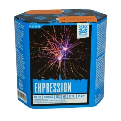 Expression 13-Schuss-Feuerwerk-Batterie