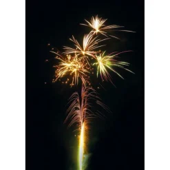 Forest Ranger 19-Schuss-Feuerwerk-Batterie