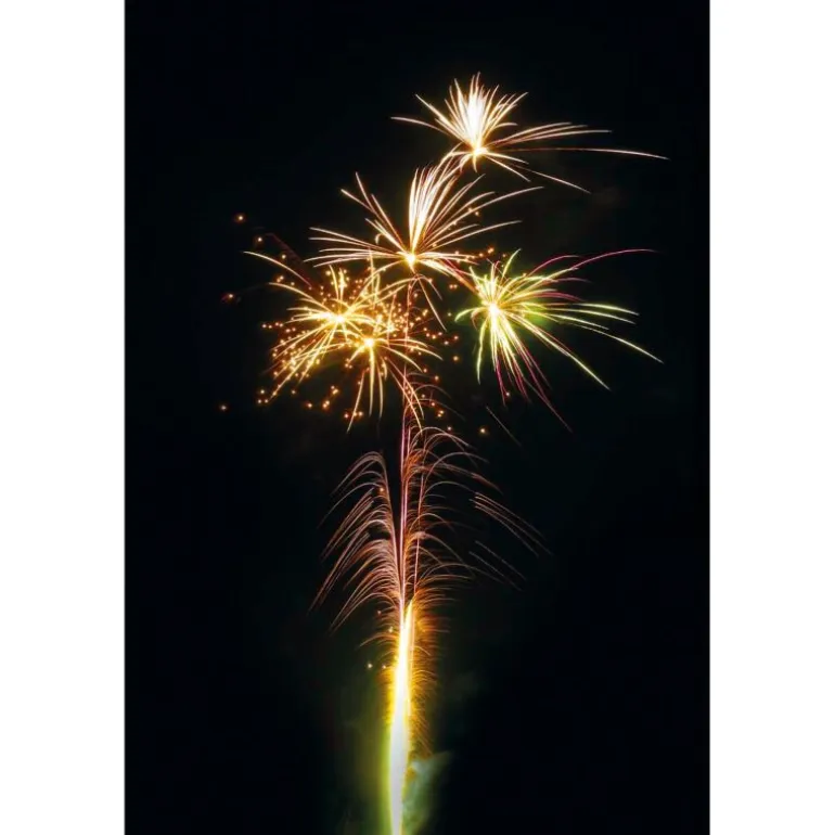 Forest Ranger 19-Schuss-Feuerwerk-Batterie