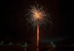 Glow & Snow 16-Schuss-Feuerwerk-Batterie