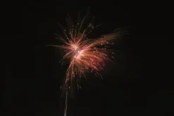 Golden Rose 13-Schuss-Feuerwerk-Batterie
