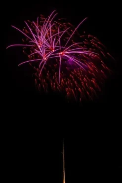 Gräte Thunfisch 9-Schuss-Feuerwerk-Batterie