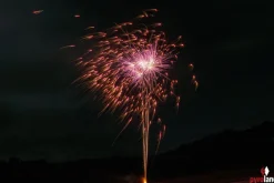 Gräte Thunfisch 9-Schuss-Feuerwerk-Batterie