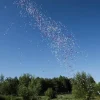 Herz über Kopf 80cm Papierflitter weiß-pink-rot Herzen