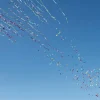Karnevalium Bonbonkonfetti & Papierstreamer bunt 50cm