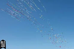 Karnevalium Bonbonkonfetti & Papierstreamer bunt 50cm