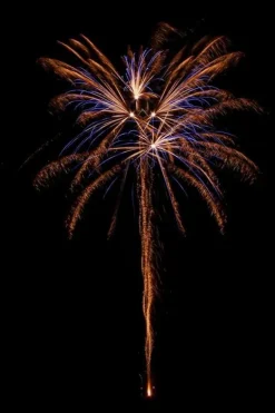 King Brudi 9-Schuss-Feuerwerk-Batterie