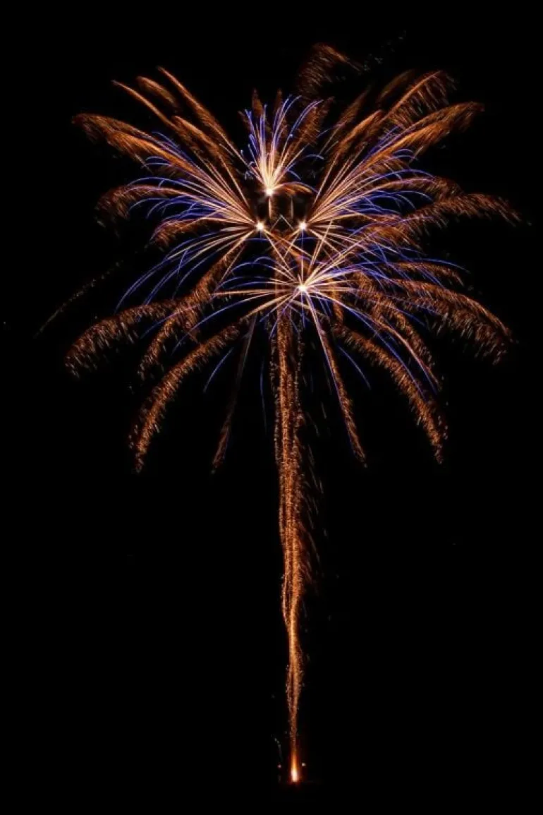 King Brudi 9-Schuss-Feuerwerk-Batterie