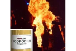 Lycopodium Qualitätsstufe Leicht