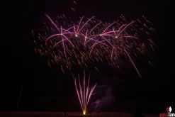 Neidfall 25-Schuss-Feuerwerk-Batterie