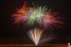 Night Nurse Neon 25-Schuss-Feuerwerk-Batterie