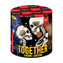 Together (Elegia) 10-Schuss-Feuerwerk-Batterie