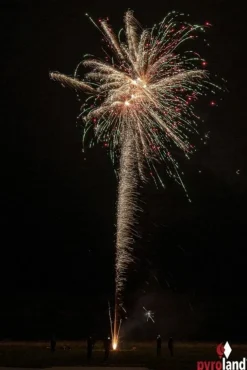 Zornblume 21-Schuss-Feuerwerk-Batterie